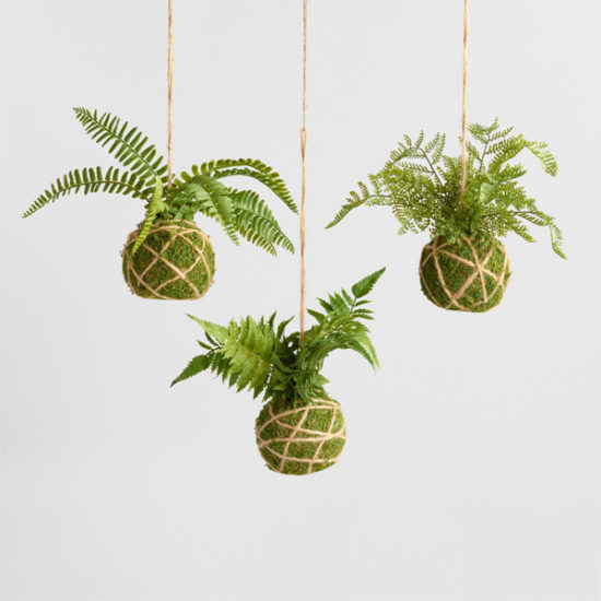 Embarrassingly Easy DIY Kokedama Tutorial (Faux Options, too!)